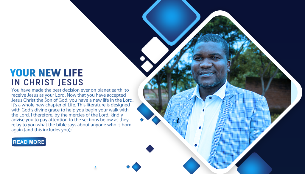 Your New Life in Christ Display